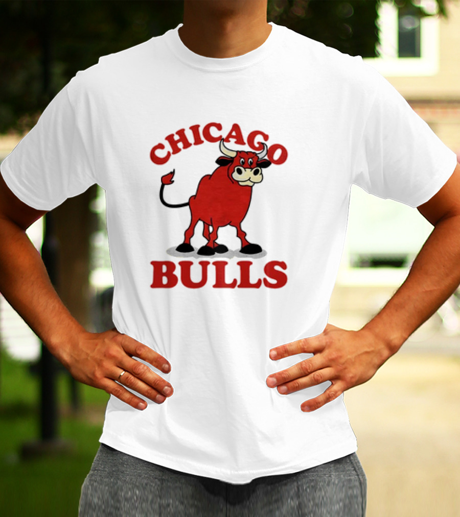 Retro Vintage Chicago Bulls Classic Iconic Bull Image T-Shirt
