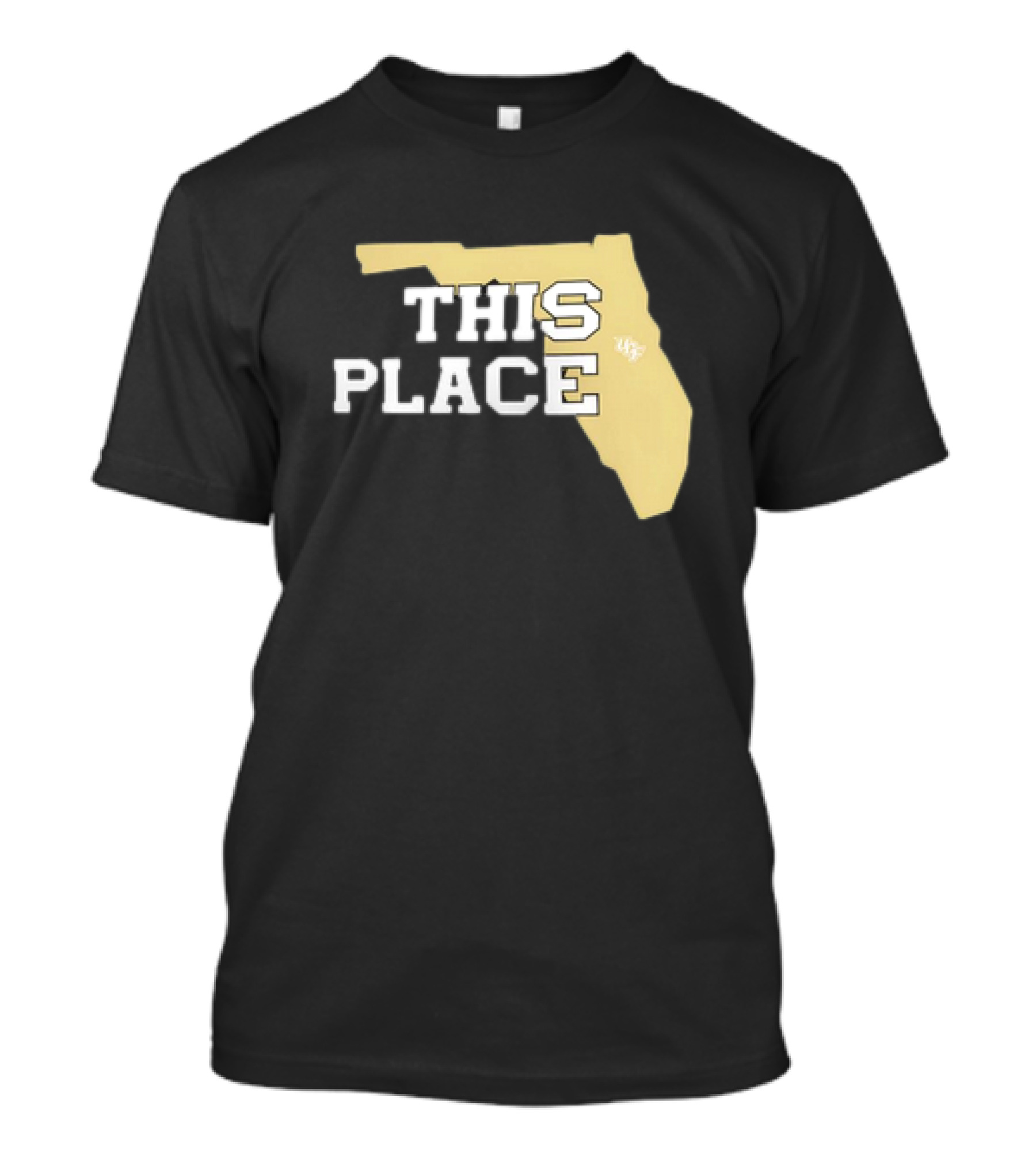 UCF Knights This Place Florida State Outline T-Shirt