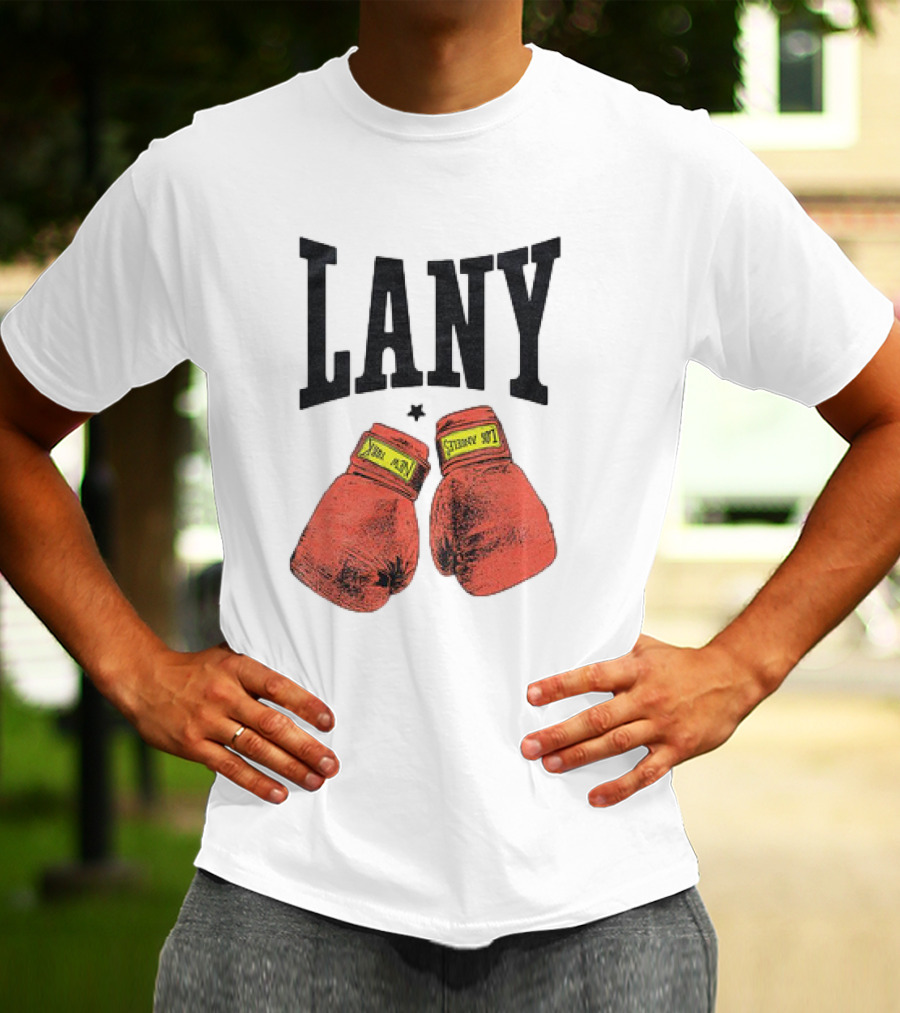 Lany Boxing Gloves Love At First Fight T-Shirt