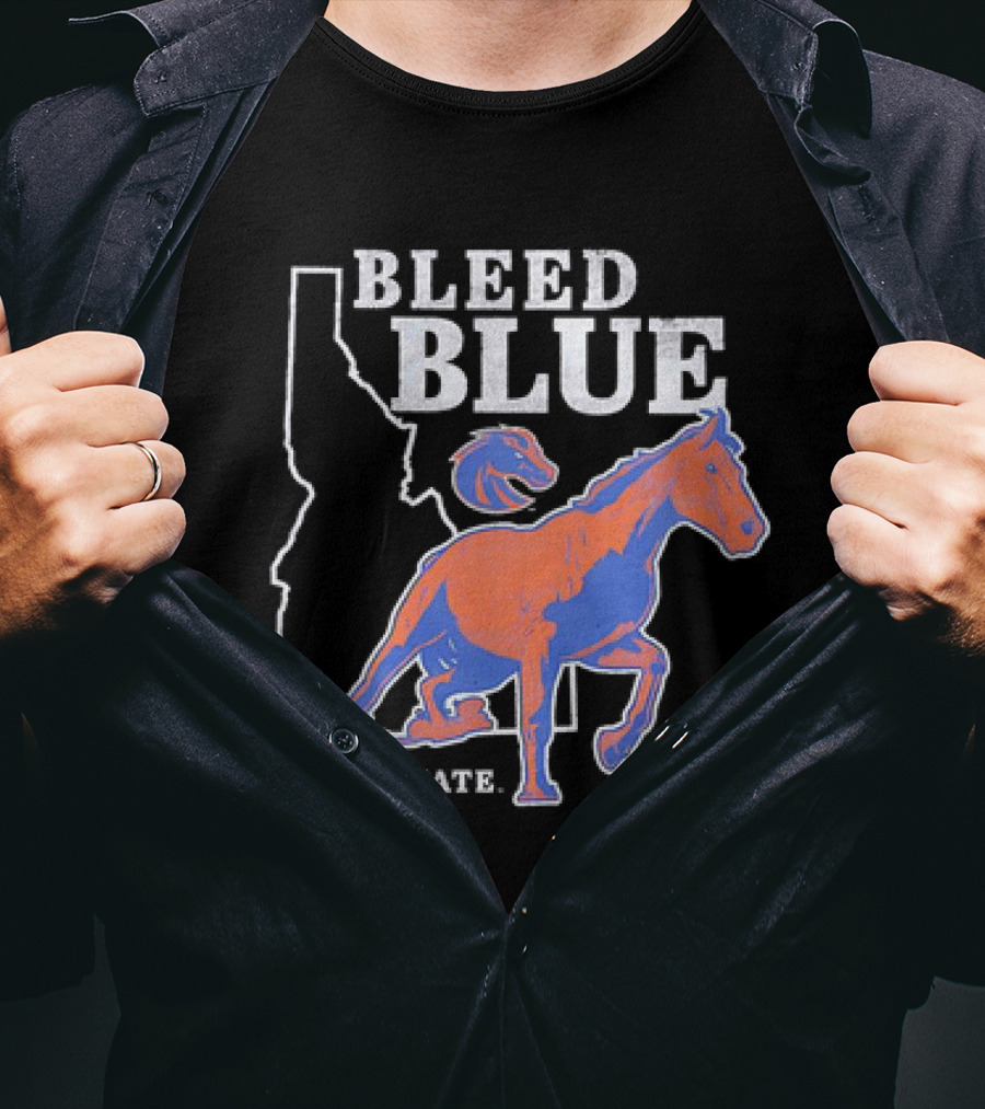 Bleed Blue Boise State Broncos Vintage Logo Idaho T-Shirt