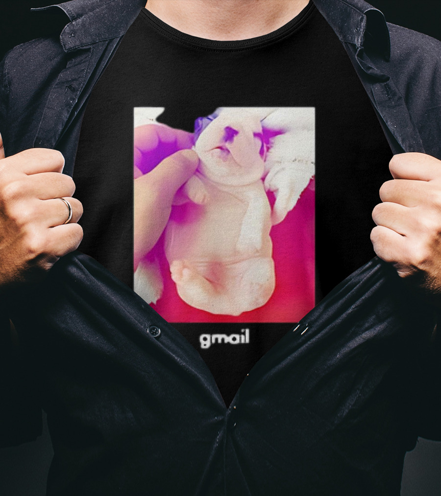 Pibble Palace Gmail Puppy Image T-Shirt