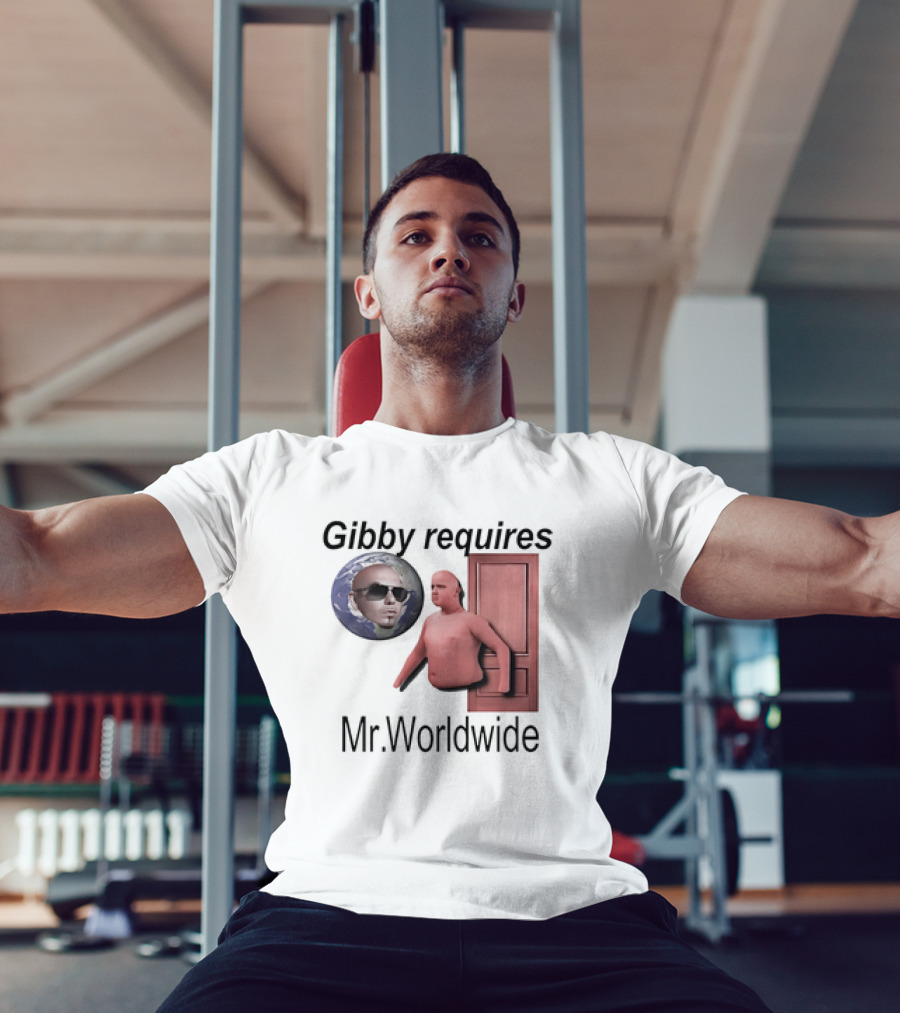 Gibby Requires Mr. Worldwide Door Meme T-Shirt
