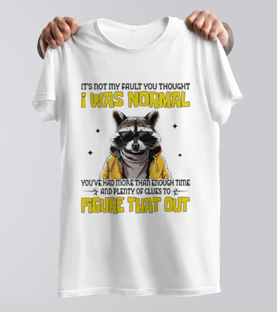 Raccoon It's Not My Fault You Thought I Was Normal You've Had More Than Enough Time And Plenty Of Clues To Figure That Out T-Shirt