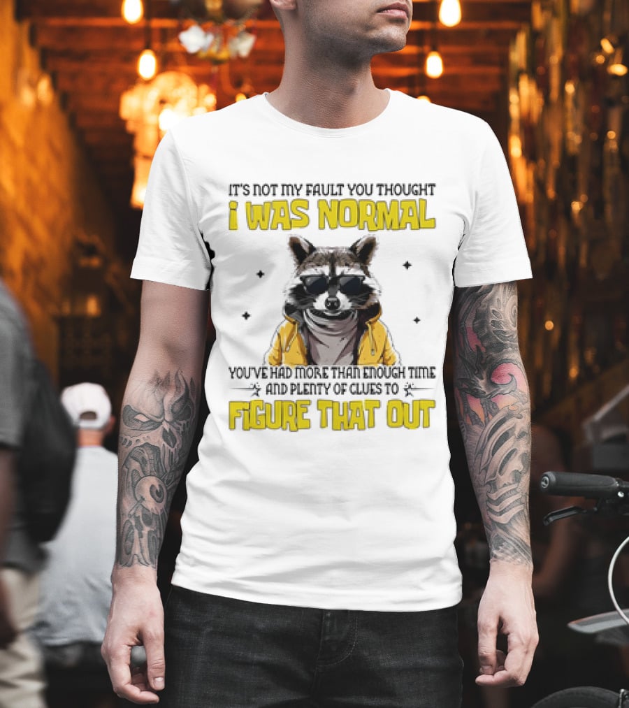 Raccoon It's Not My Fault You Thought I Was Normal You've Had More Than Enough Time And Plenty Of Clues To Figure That Out T-Shirt