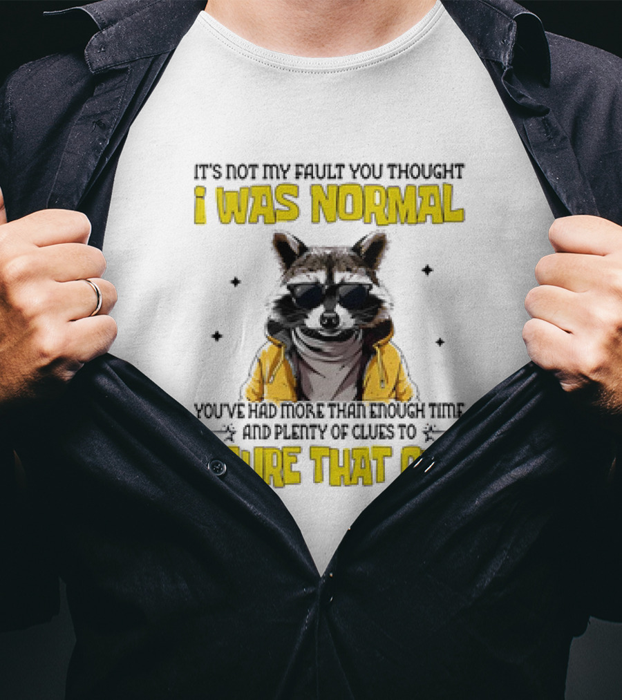 Raccoon It's Not My Fault You Thought I Was Normal You've Had More Than Enough Time And Plenty Of Clues To Figure That Out T-Shirt