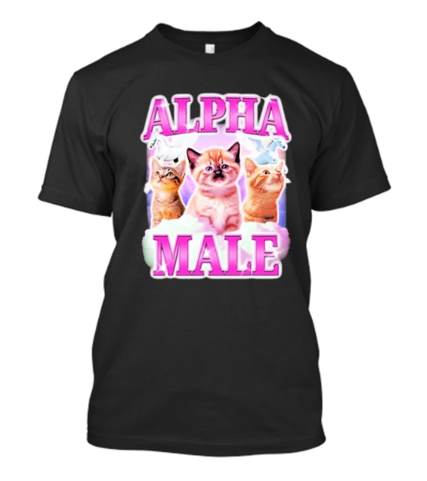 Alpha Male Cat Trio With Rainbow Unicorns And Clouds T-Shirt