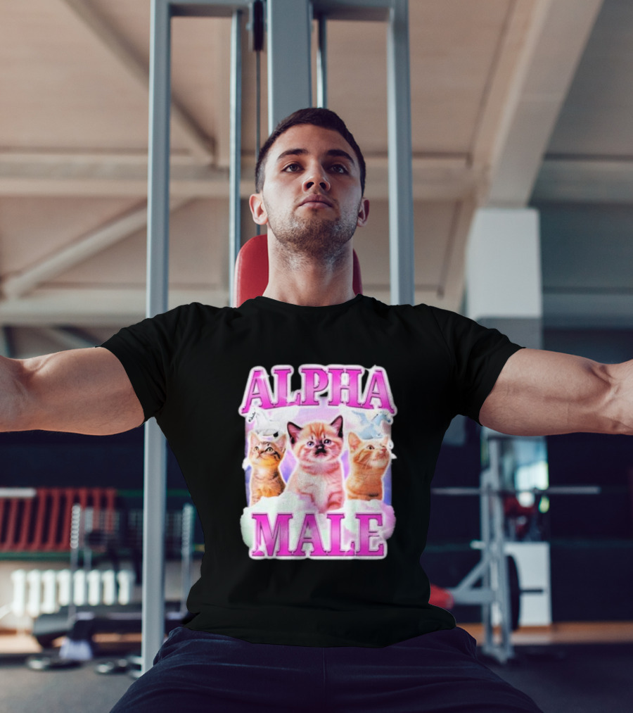Alpha Male Cat Trio With Rainbow Unicorns And Clouds T-Shirt