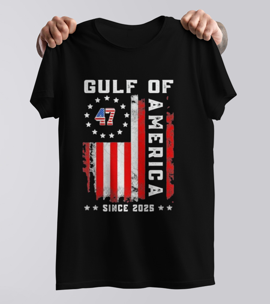 Gulf Of USA America Vintage USA Flag Grunged 2025 T-Shirt
