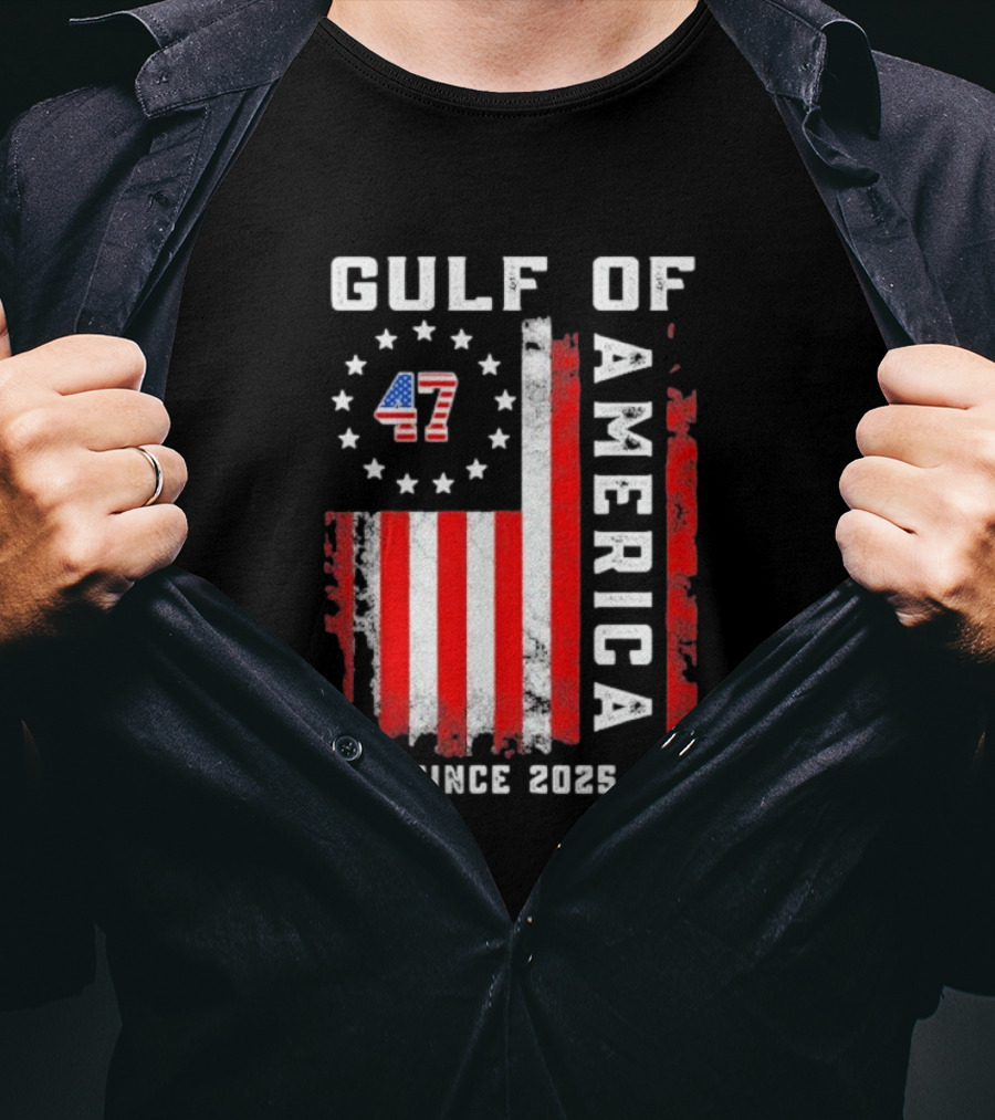 Gulf Of USA America Vintage USA Flag Grunged 2025 T-Shirt