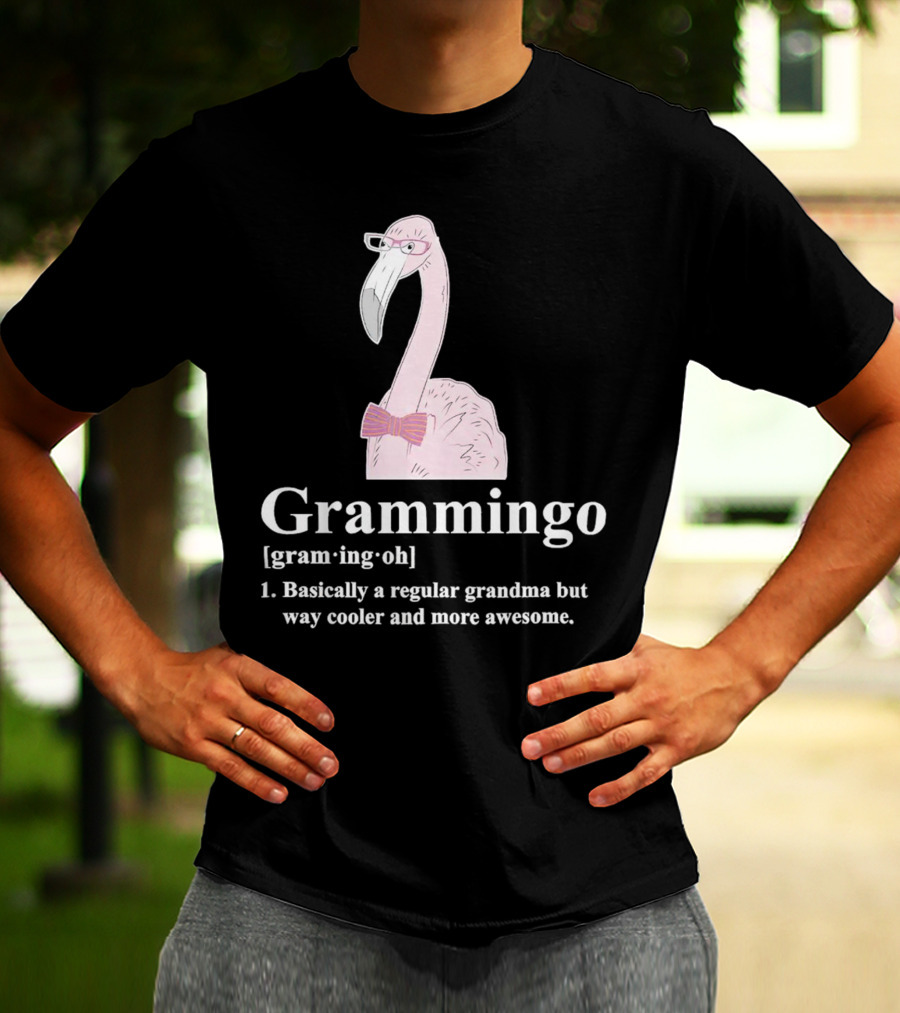 Grammingo Flamingo Grandma Way Cooler Awesome Definition T-Shirt