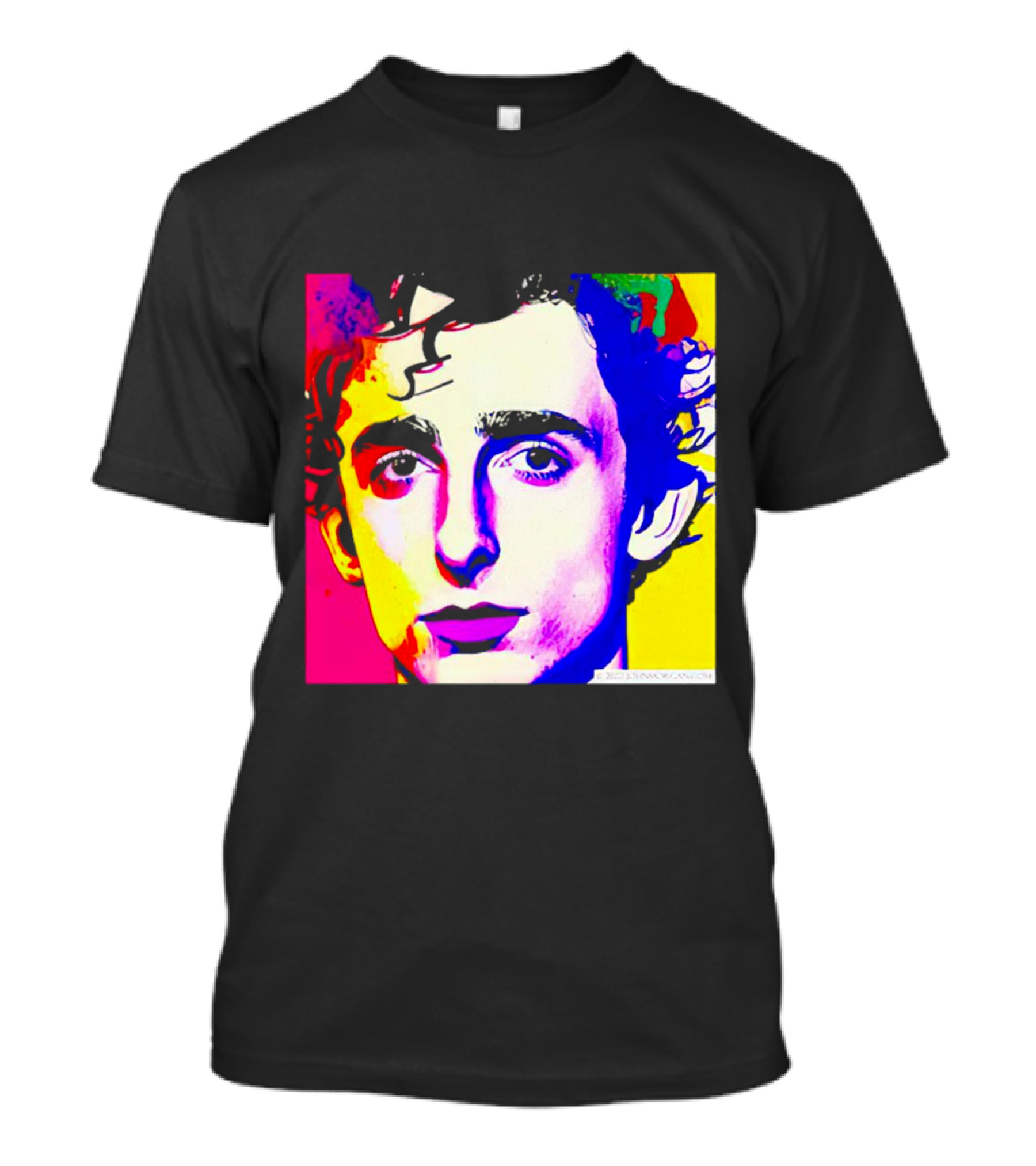 Timothee Chalamet Pop Art Portrait Multicolored Andy Warhol T-Shirt