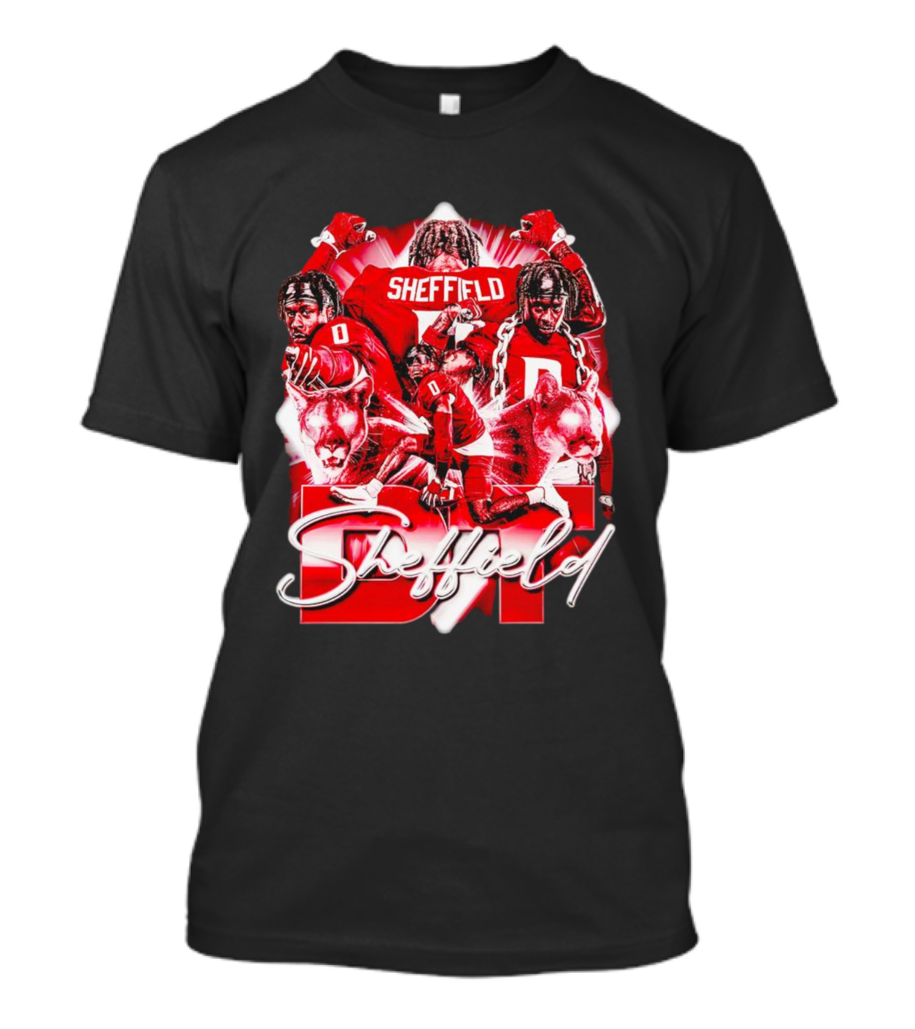 DT Sheffield Washington State Cougars Sheffield Vintage T-Shirt