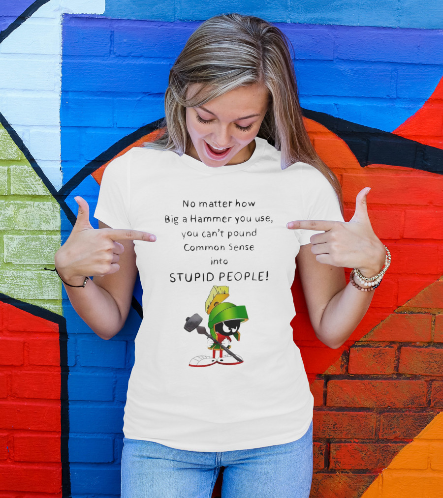 No Matter How Big A Hammer You Use, You Can't Pound Common Sense Into Stupid People T-Shirt