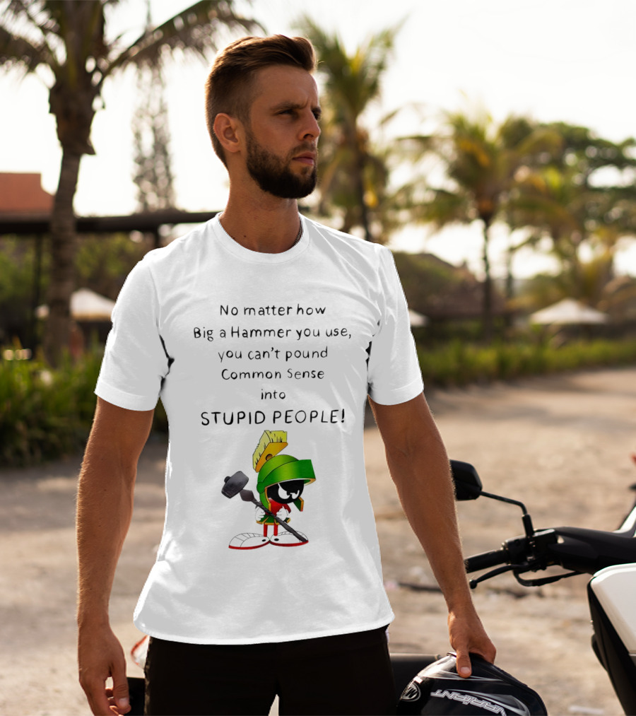 No Matter How Big A Hammer You Use, You Can't Pound Common Sense Into Stupid People T-Shirt
