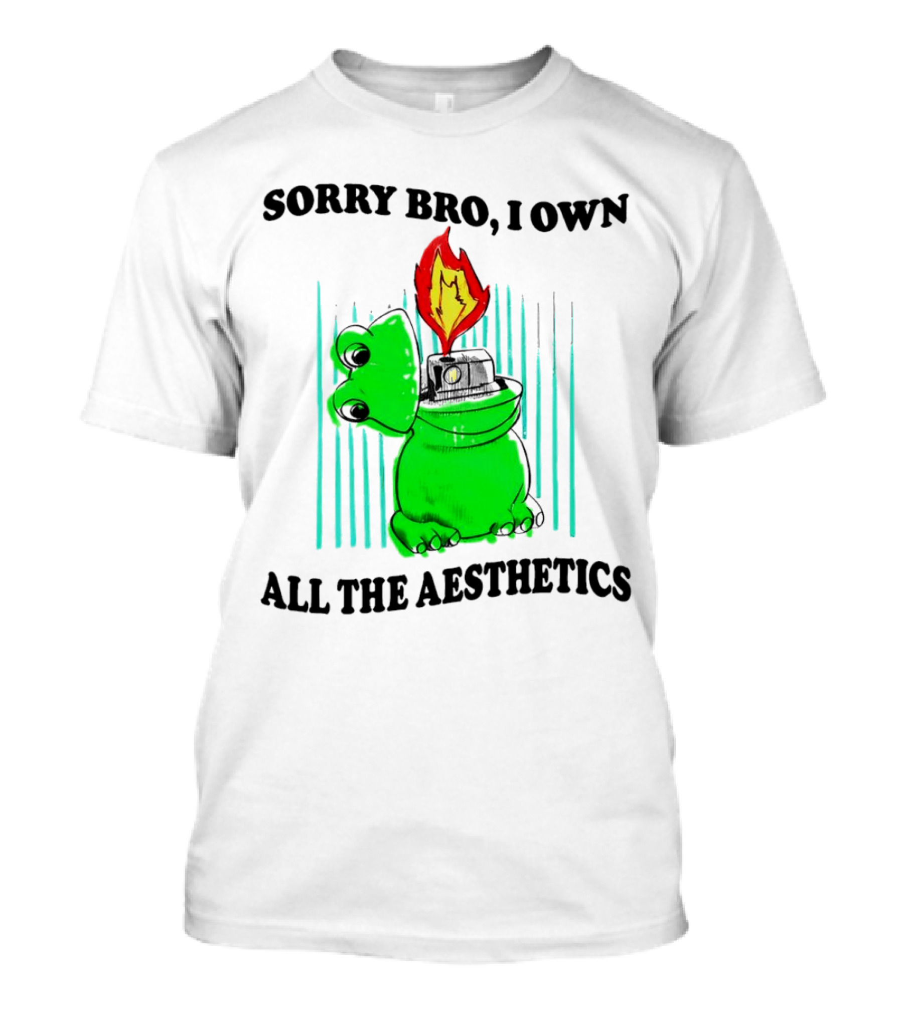 Sorry Bro I Own All The Aesthetics Melting Frog Lighter Flame T-Shirt
