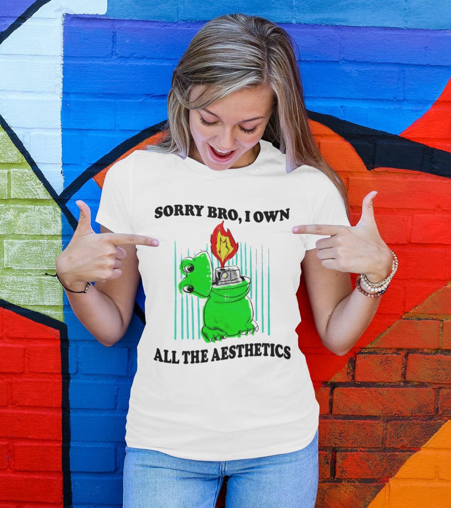 Sorry Bro I Own All The Aesthetics Melting Frog Lighter Flame T-Shirt