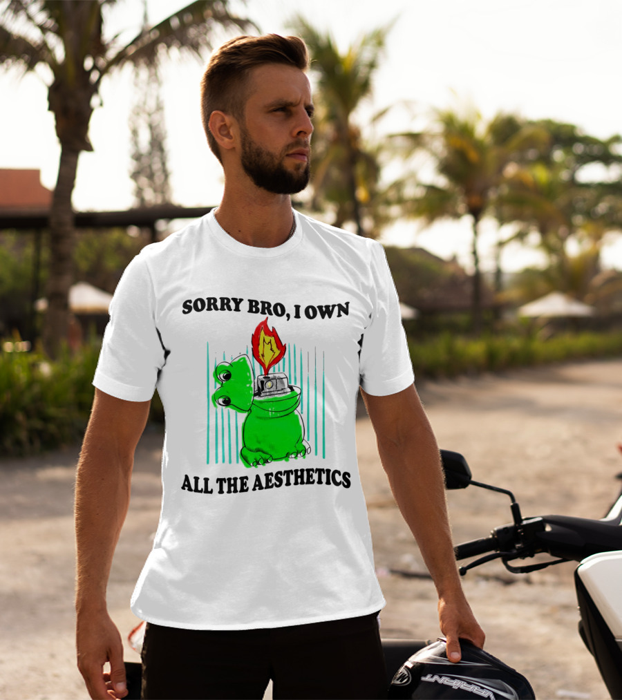 Sorry Bro I Own All The Aesthetics Melting Frog Lighter Flame T-Shirt