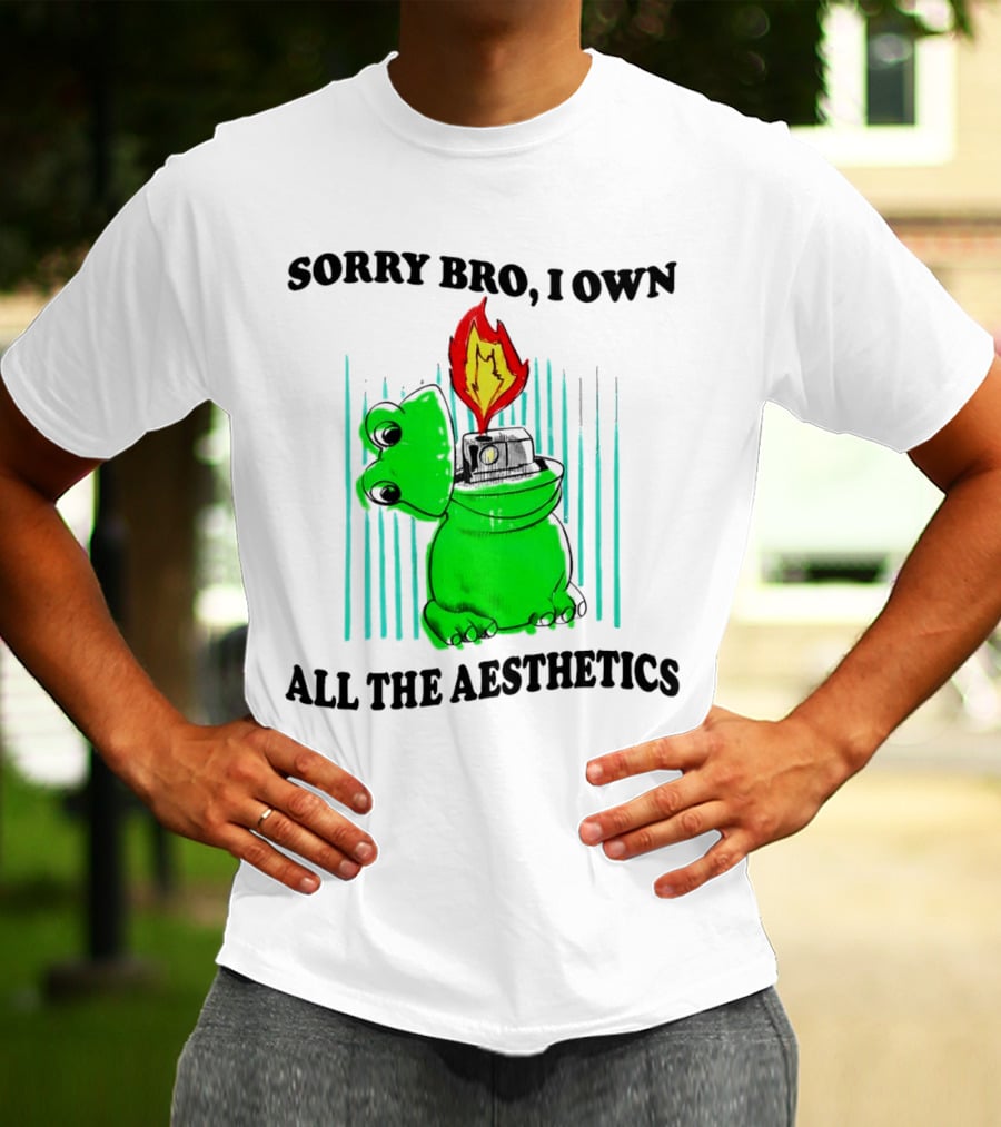 Sorry Bro I Own All The Aesthetics Melting Frog Lighter Flame T-Shirt