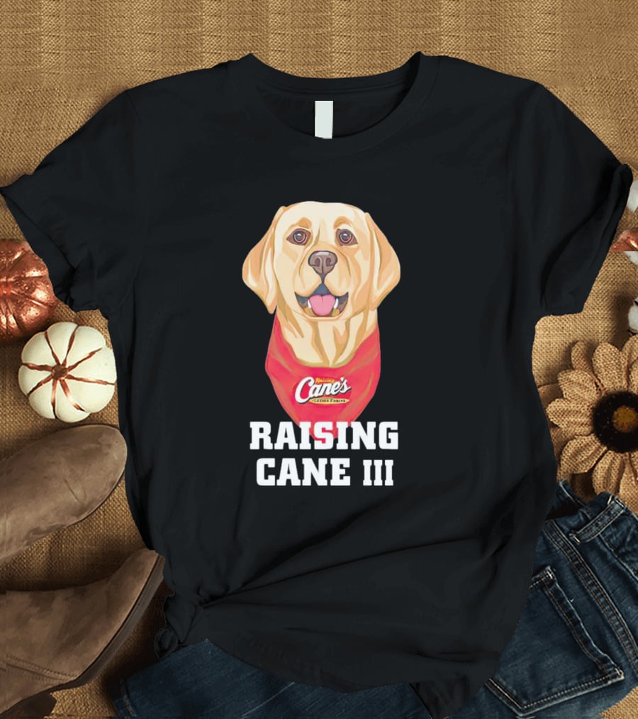 Raising Cane's Chicken Fingers Raising Cane III T-Shirt