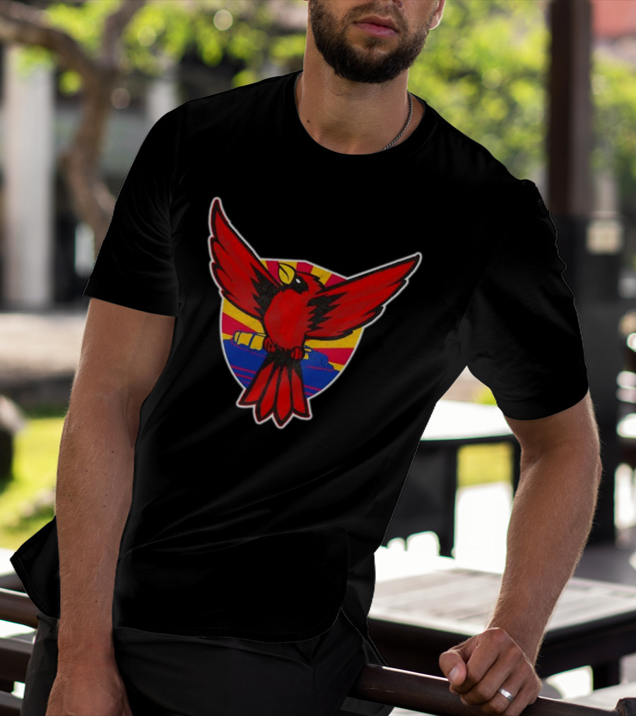 Phoenix Arizona Cardinals Sunburst T-Shirt