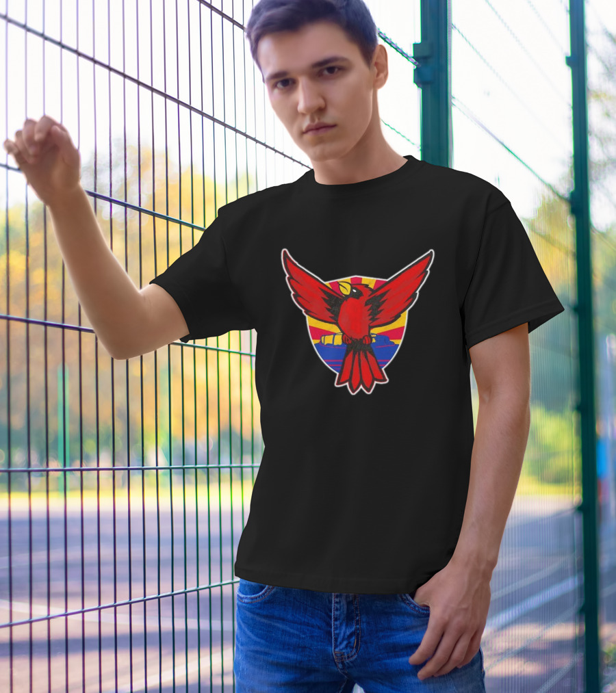 Phoenix Arizona Cardinals Sunburst T-Shirt