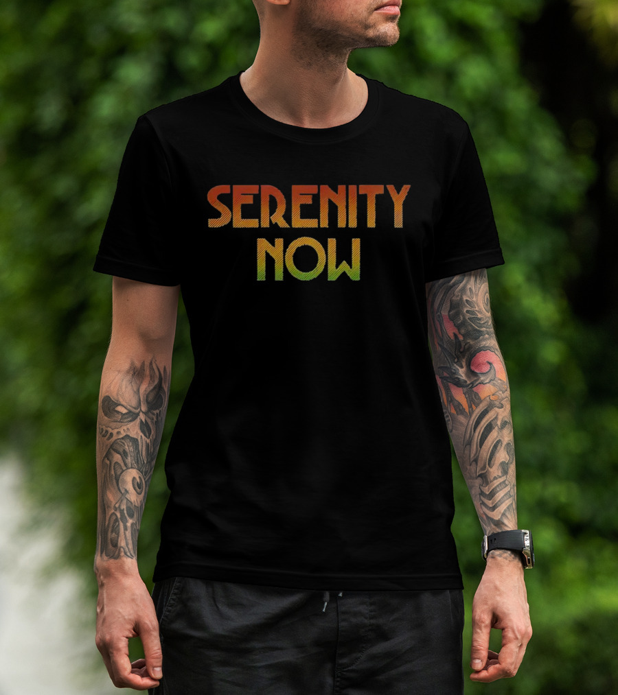 Serenity Now Seinfeld Quote Retro Gradient T-Shirt