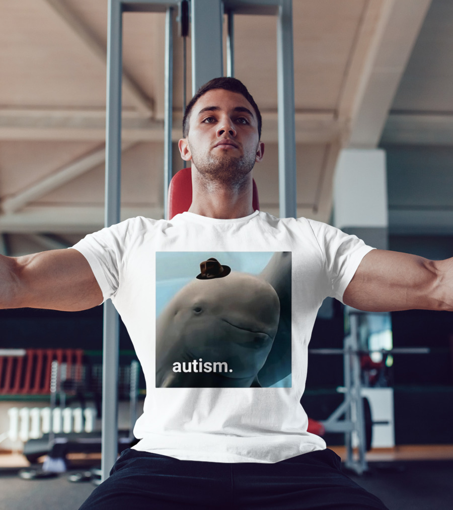 Autism Dolphin Meme With Hat T-Shirt