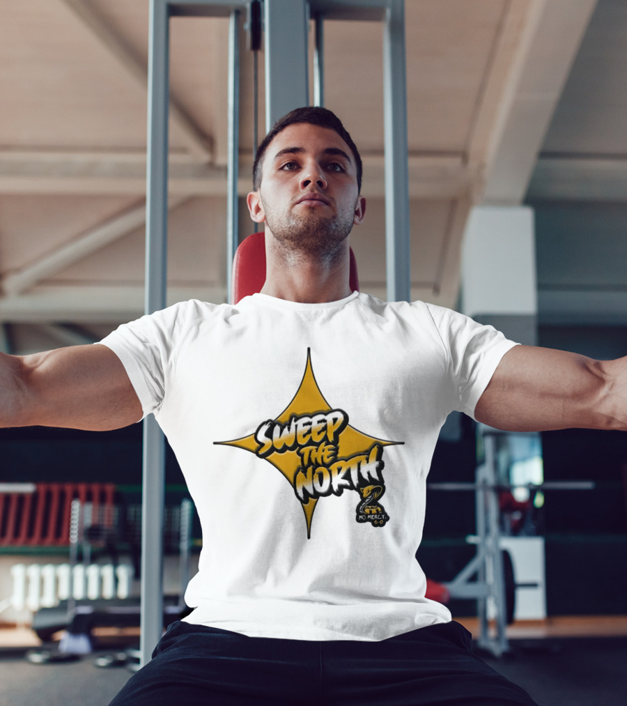 Pittsburgh Steelers Sweep The North 6-0 No Mercy Star T-Shirt