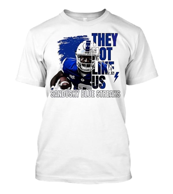 Sandusky Blue Streaks They Not Like Us Football Player Grunge T-Shirt