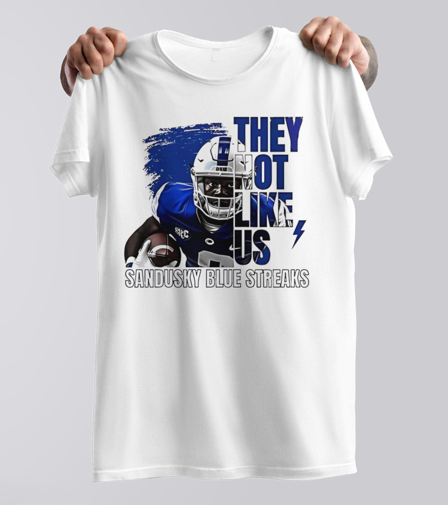 Sandusky Blue Streaks They Not Like Us Football Player Grunge T-Shirt