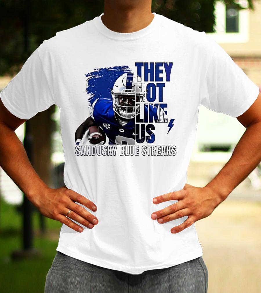 Sandusky Blue Streaks They Not Like Us Football Player Grunge T-Shirt