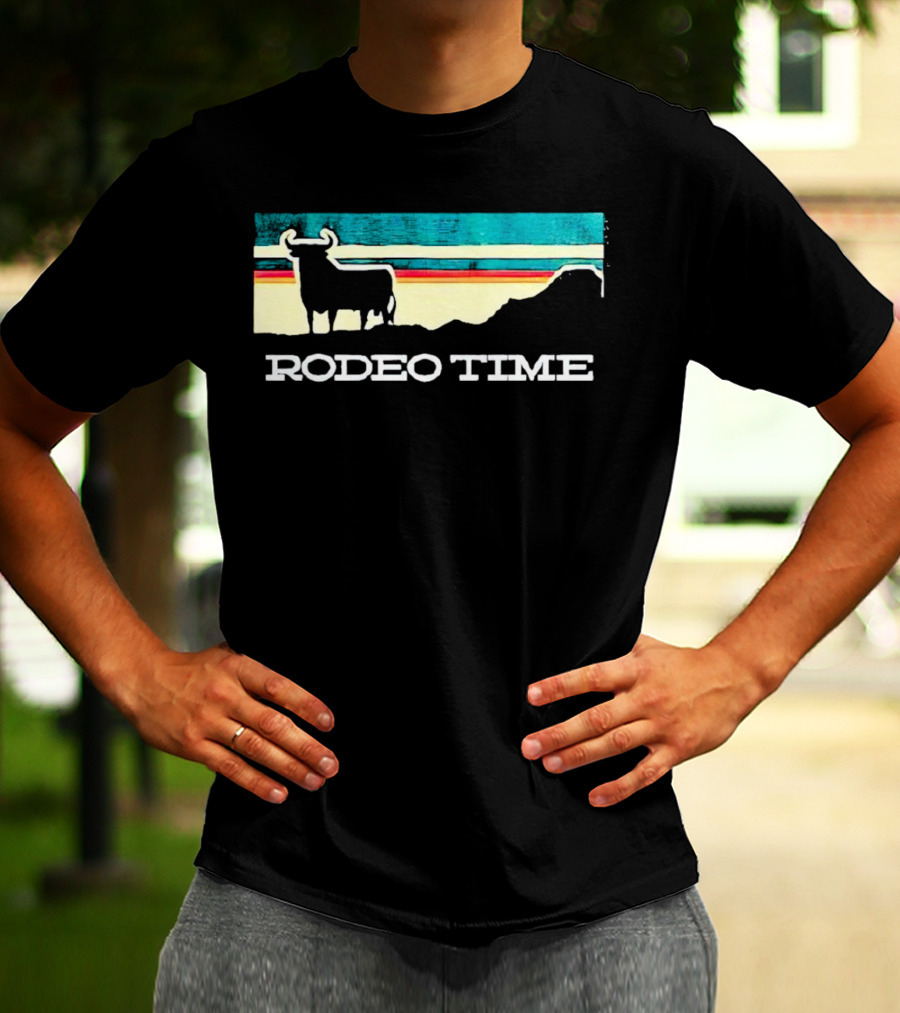 Rodeo Time Buffalo Silhouette Striped Sunset T-Shirt
