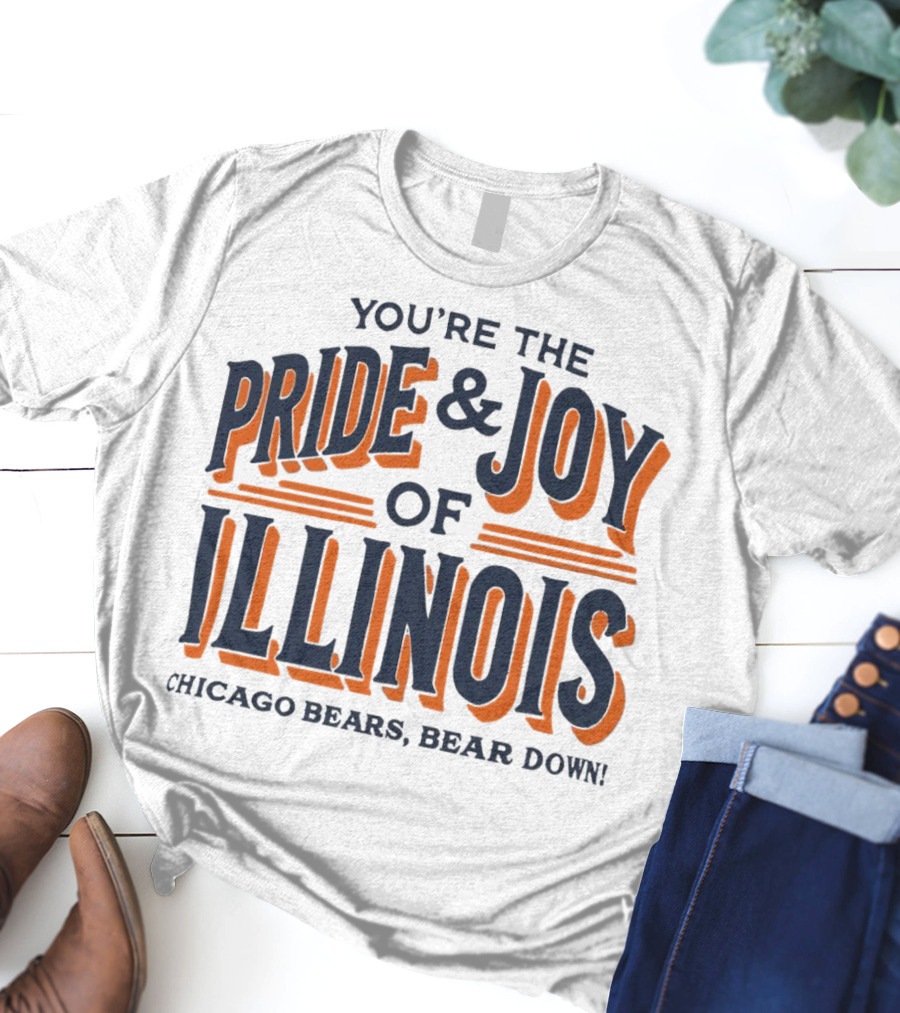 You're The Pride And Joy Of Illinois Chicago Bears Bear Down T-Shirt