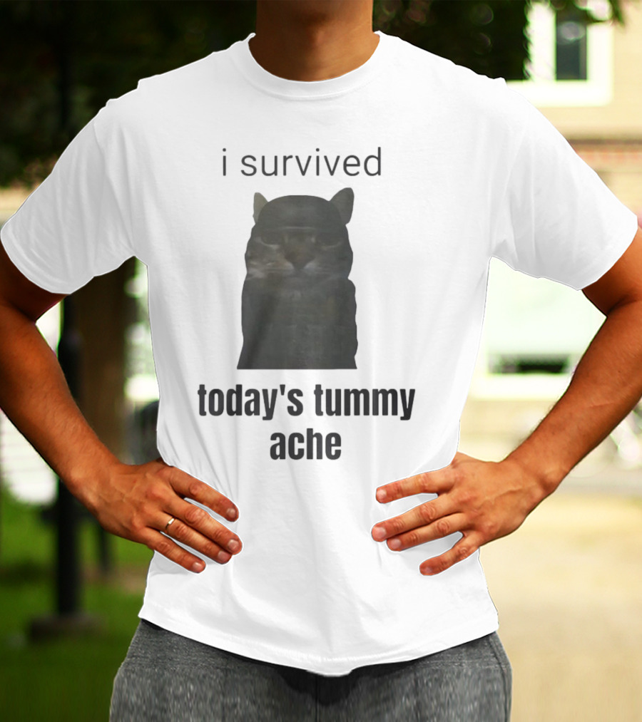 I Survived Today's Tummy Ache Cat Image T-Shirt