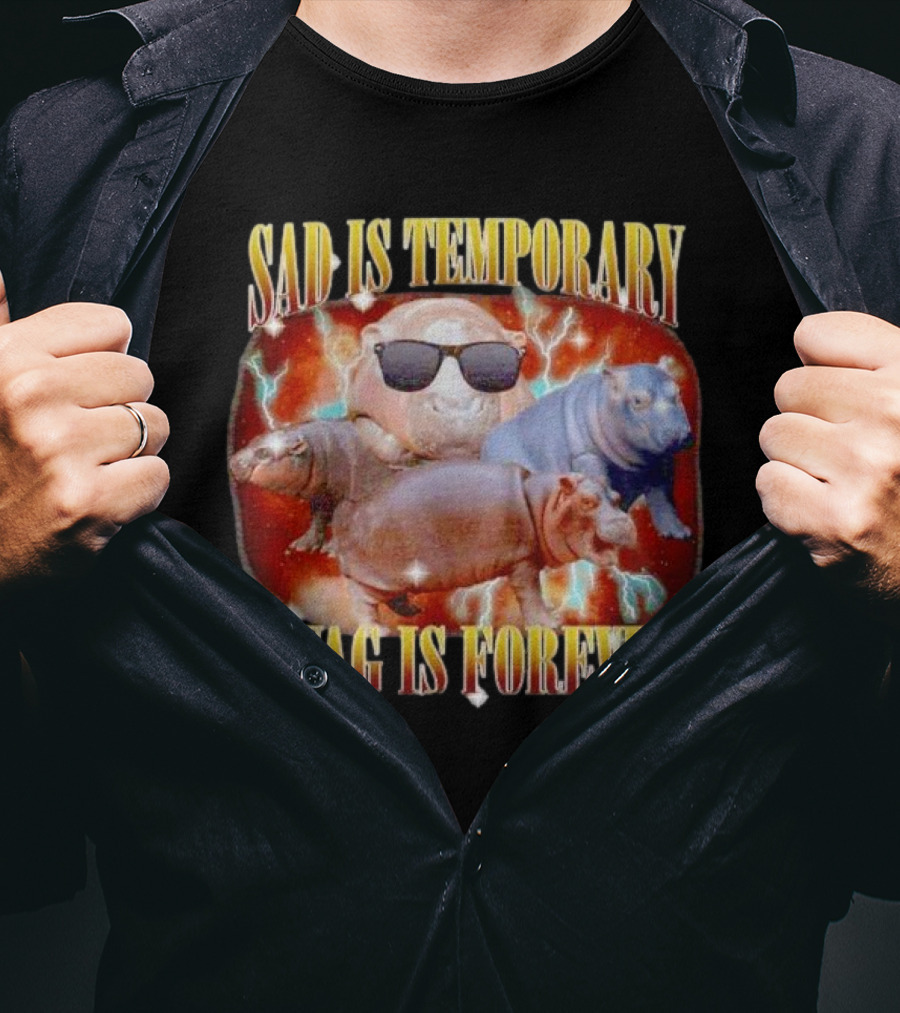 Sad Is Temporary Swag Is Forever Hippos Moo Deng T-Shirt