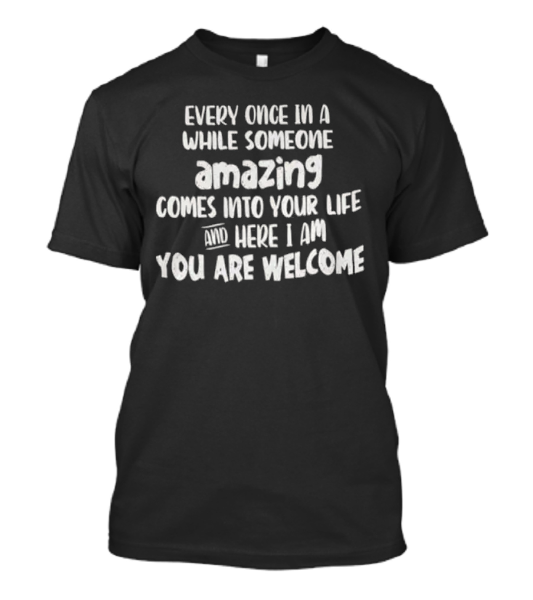 Every Once In A While Someone Amazing Comes Into Your Life And Here I Am You Are Welcome T-Shirt