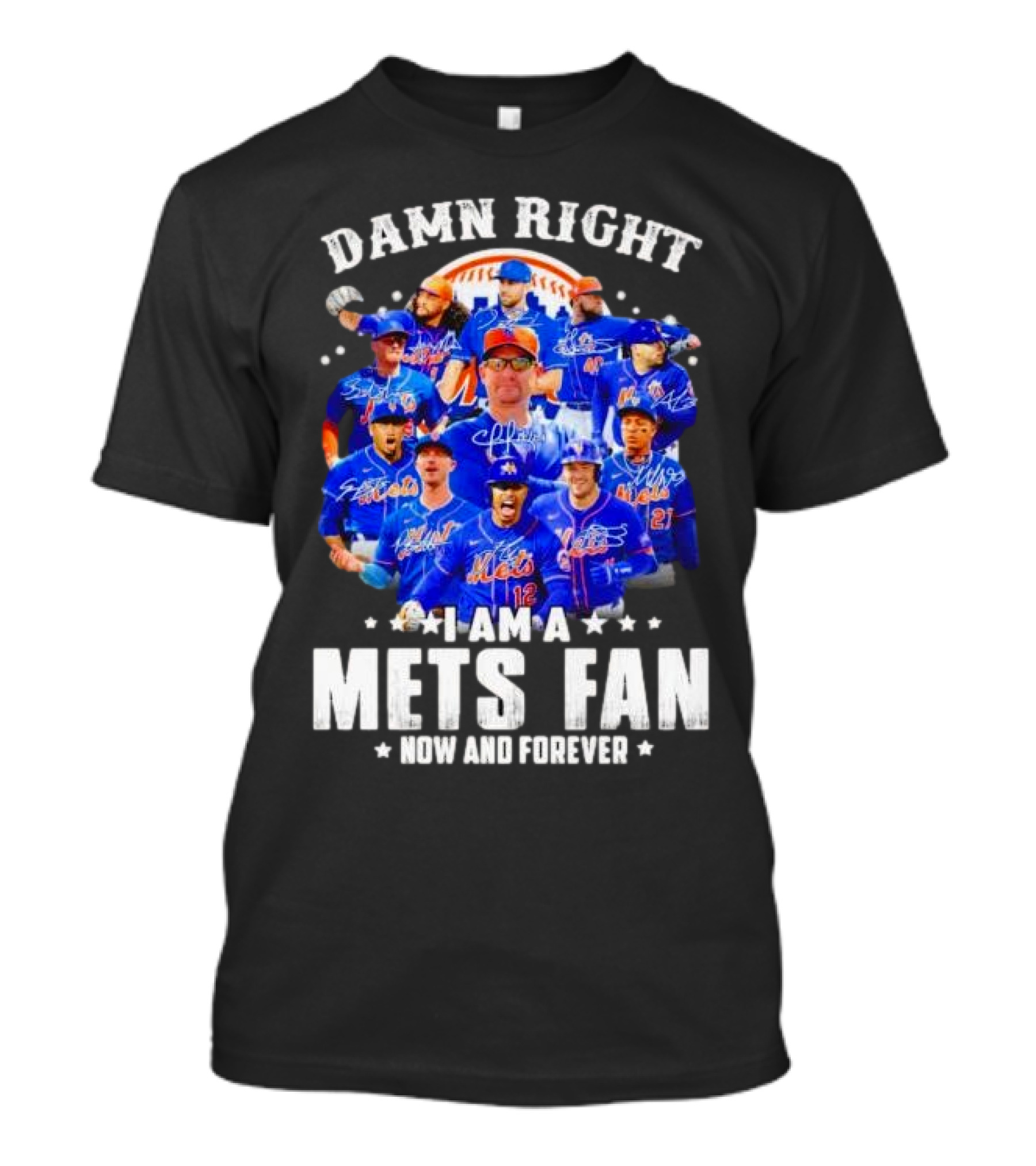 Damn Right I Am A New York Mets Fan Now And Forever Baseball Passion T-Shirt