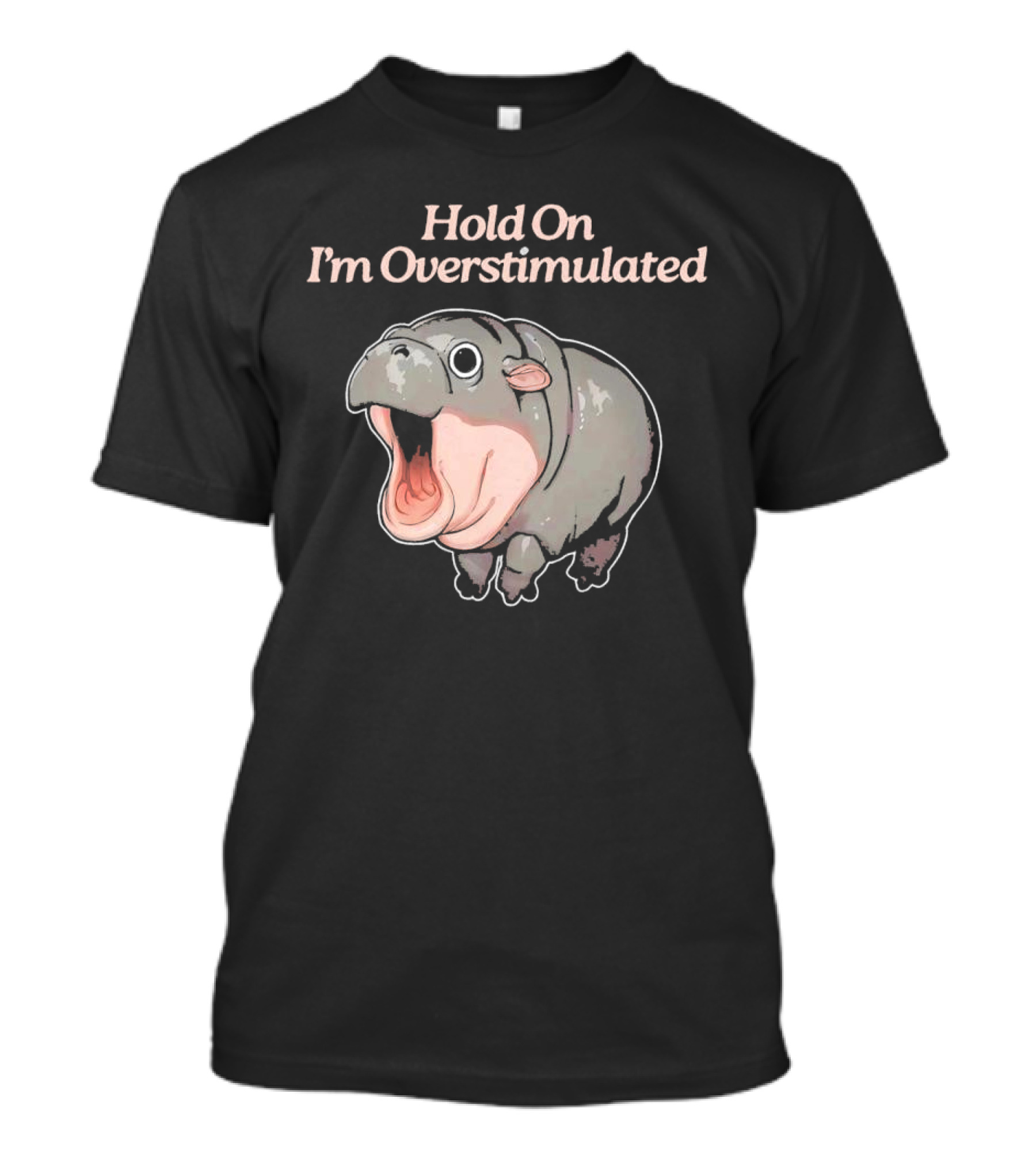 Hold On I'm Overstimulated Hippo T-Shirt