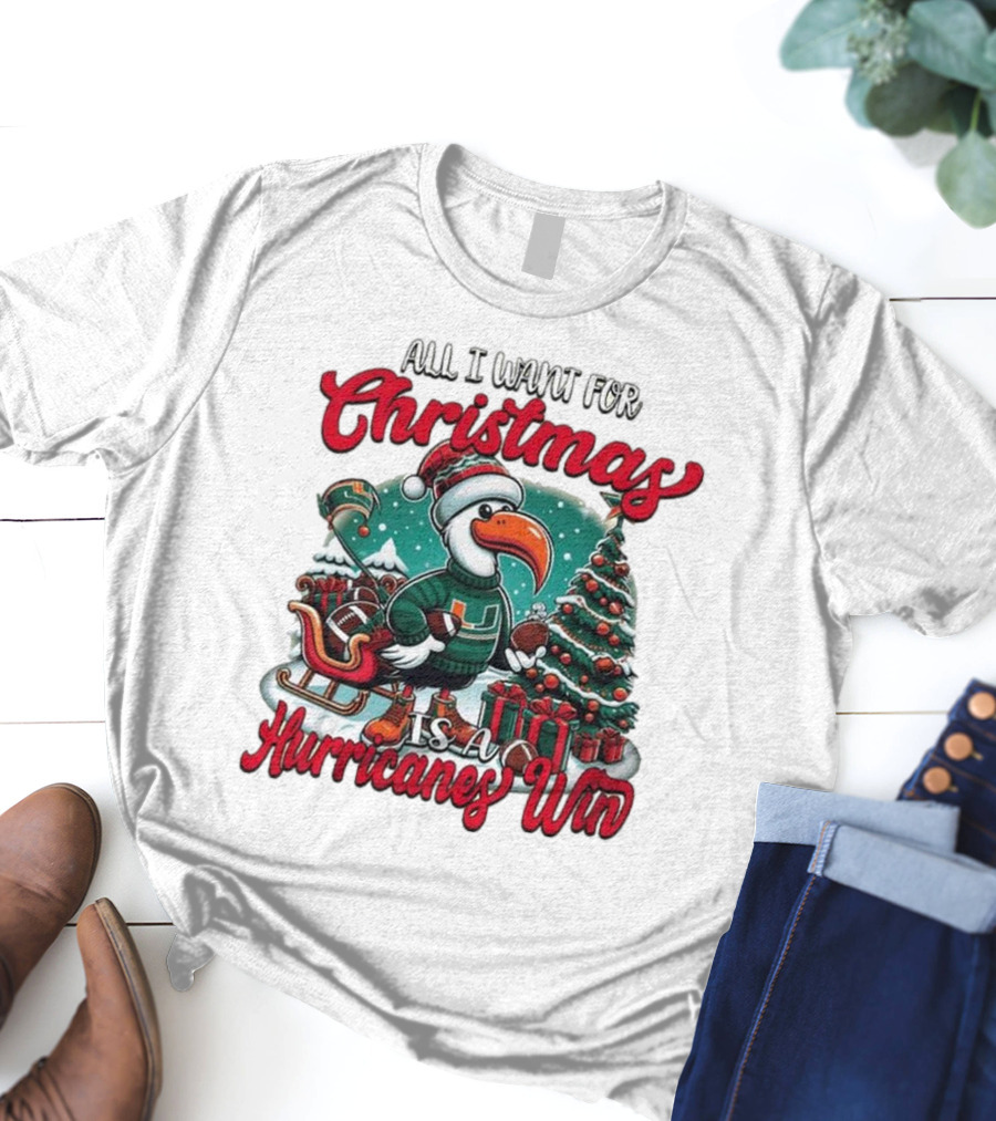 All I Want For Christmas Is A Hurricanes Win Santa Birdfest T-Shirt