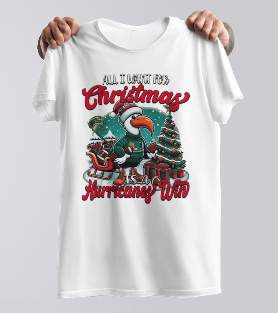 All I Want For Christmas Is A Hurricanes Win Santa Birdfest T-Shirt