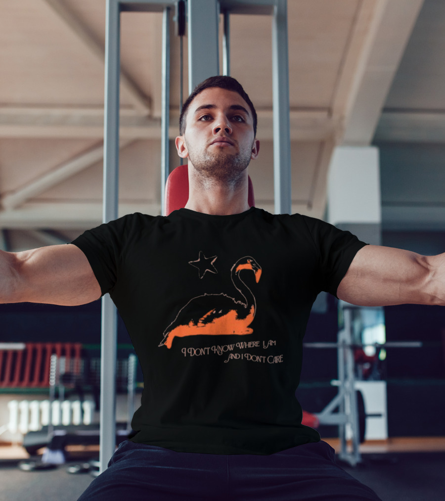 Flamingo I Don’t Know Where I Am And I Don’t Care With Star T-Shirt