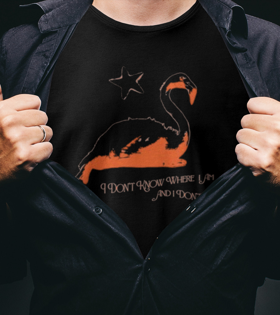 Flamingo I Don’t Know Where I Am And I Don’t Care With Star T-Shirt