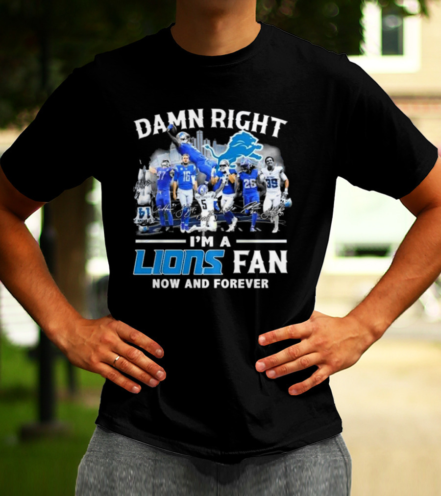 Damn Right I'm A Detroit Lions Fan Now And Forever Signatures Skyline T-Shirt
