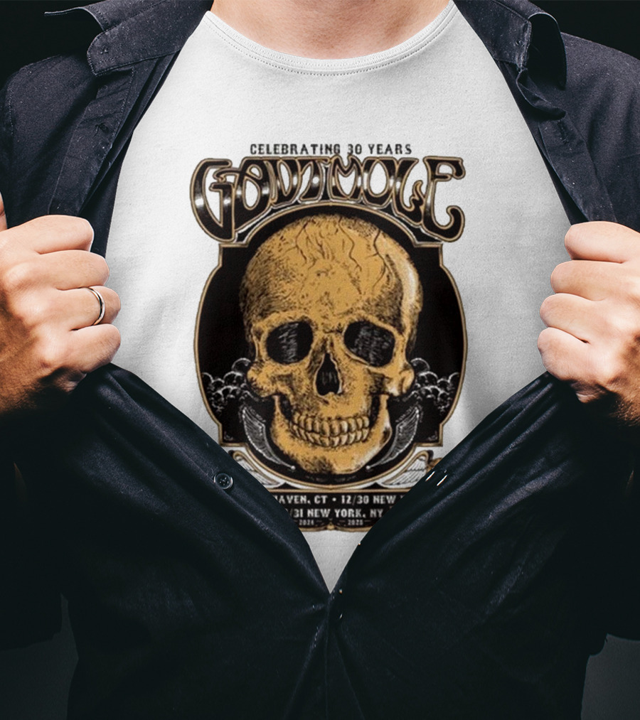 Celebrating 30 Years Gov’t Mule Skull Design Dec 28 New Haven CT Dec 30-31 New York NY T-Shirt