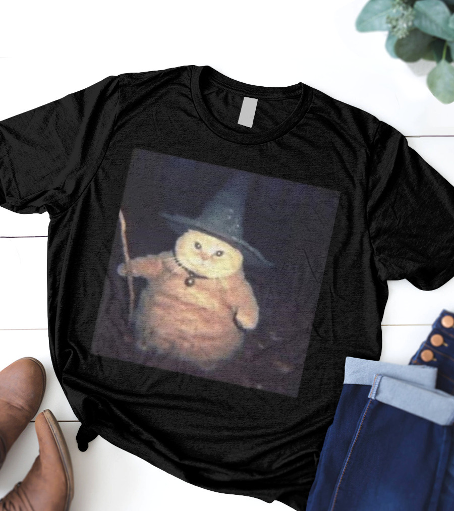 Cheeseball The Wizard Cat Meme Wearing Witch Hat And Holding Wand T-Shirt