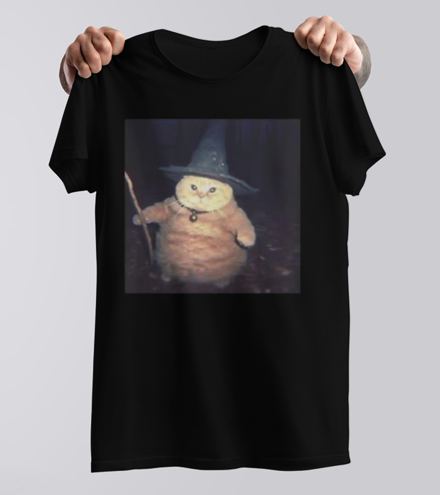 Cheeseball The Wizard Cat Meme Wearing Witch Hat And Holding Wand T-Shirt