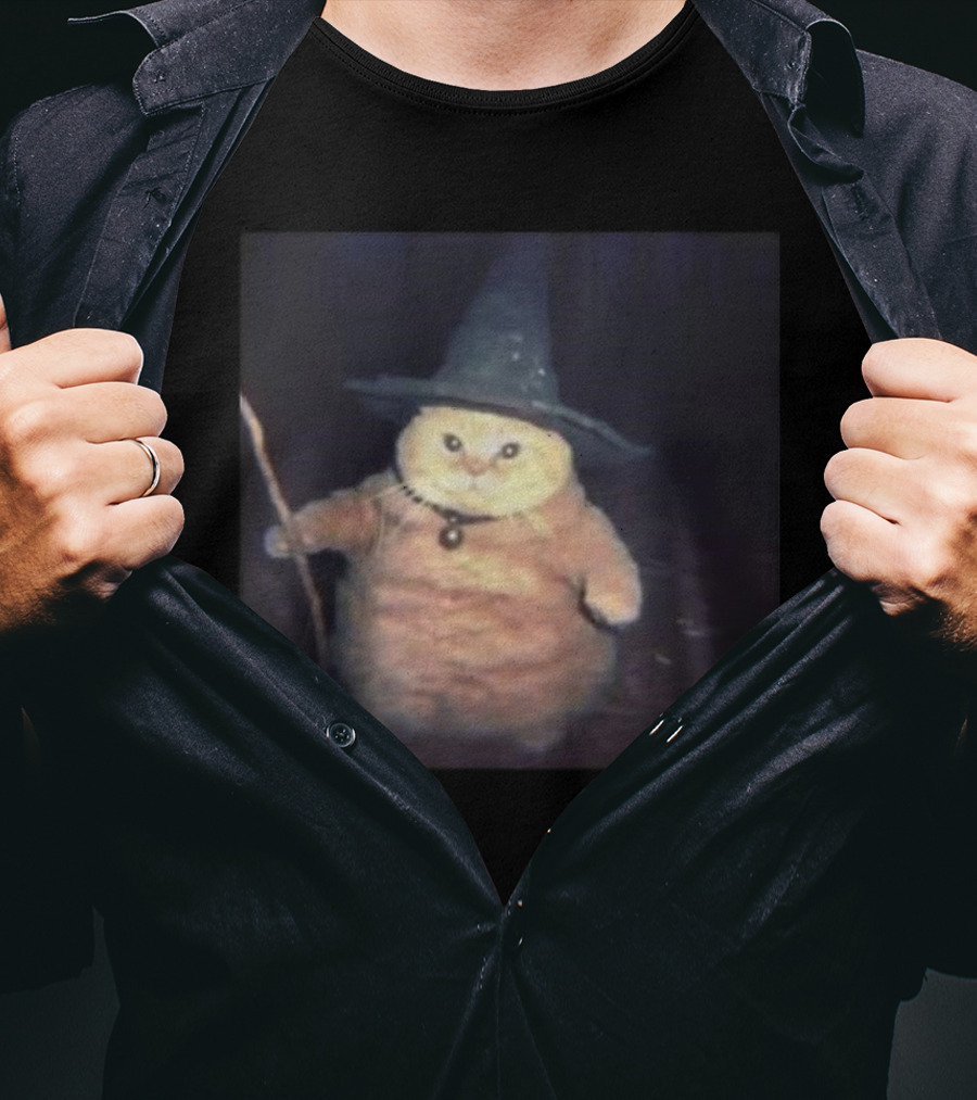 Cheeseball The Wizard Cat Meme Wearing Witch Hat And Holding Wand T-Shirt
