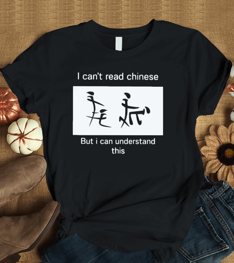I Can't Read Chinese But I Can Understand This Humorous Pictorial Characters T-Shirt