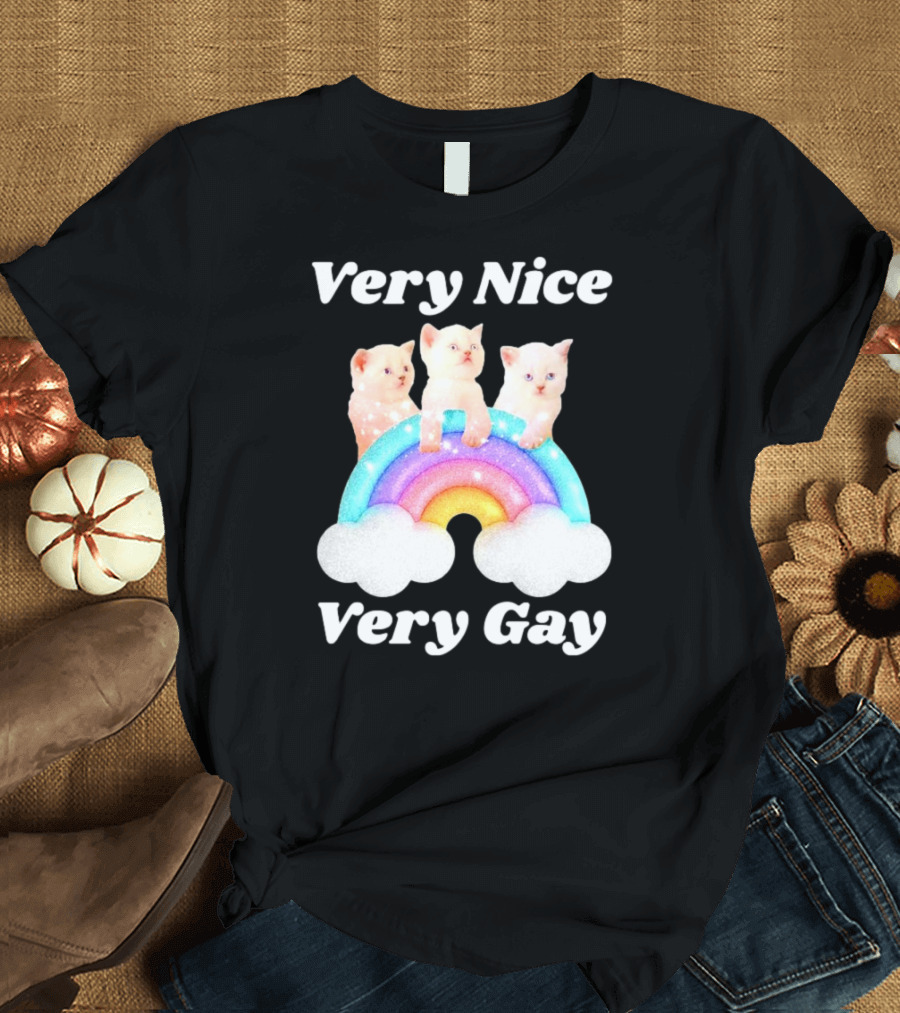 Very Nice Very Gay Cats On Rainbow T-Shirt