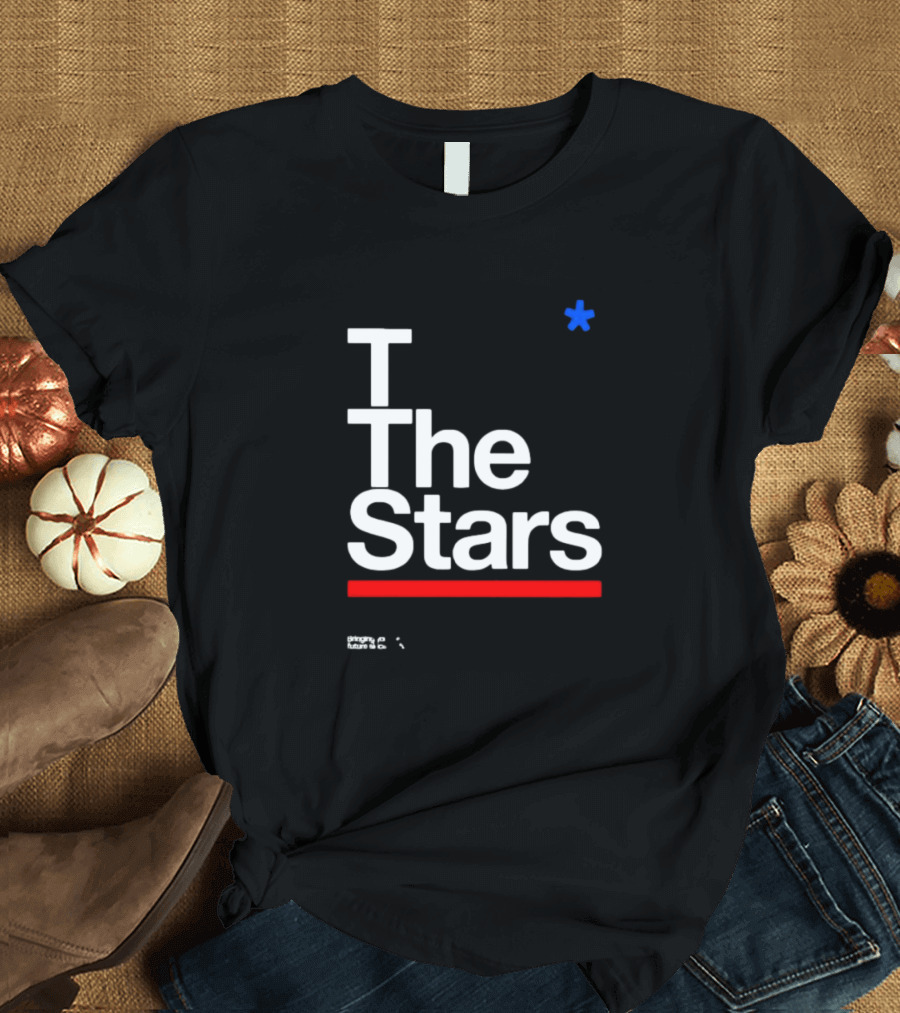 To The Stars San Diego California Blink-182 Phony Futures T-Shirt